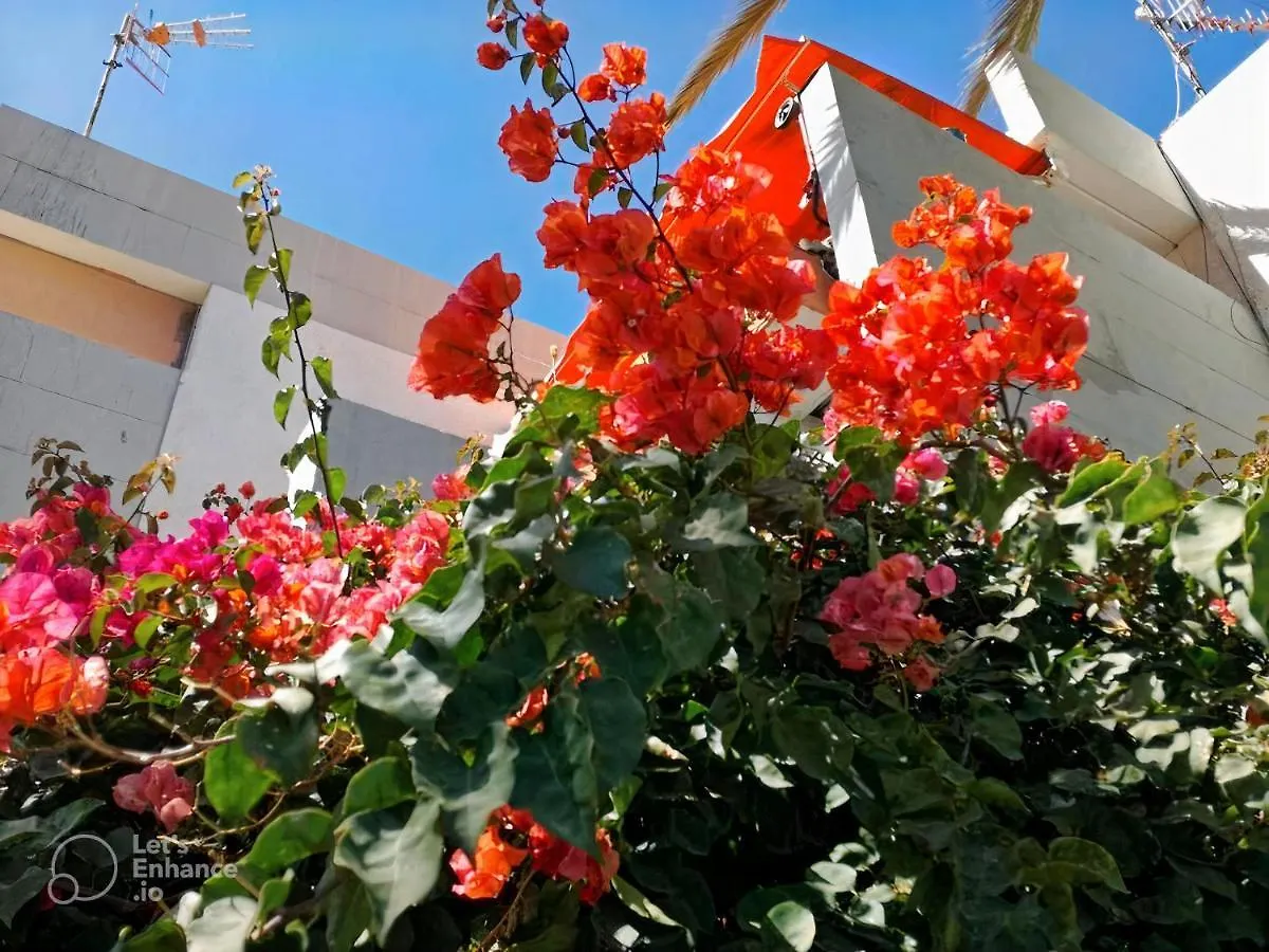 Primavera Tenerife Costa Del Silencio Apartment